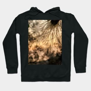 Gone to Seed Hoodie